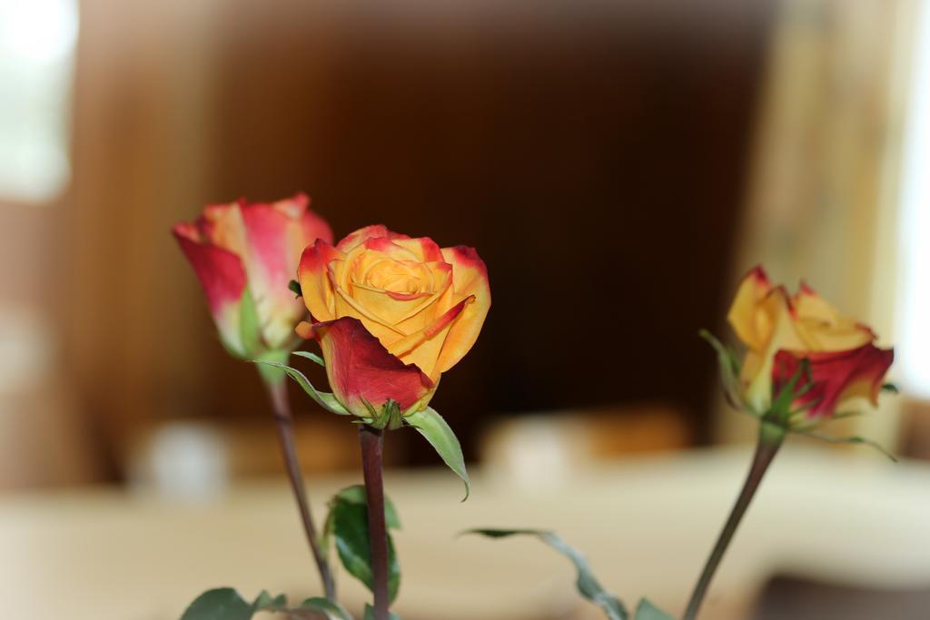 Flumserberg Hotel Tannenboden - Steinbock מראה חיצוני תמונה